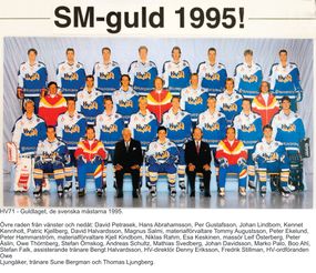 03-HV71 Guldlaget 1995