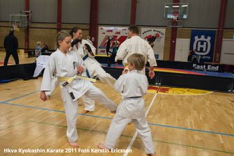 Hkva Kyokoshin Karate 2011_Foto Kerstin Ericsson