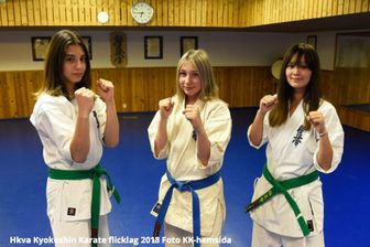 10-Hkva Kyokoshin Karate flicklag 2018_Foto KK-hemsida